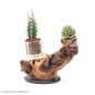 Preview: schmuckaufbewahrung_Schmuckmöbel_jewelryholder_Weinstock_natur12_Schmuckmöbel_jewelryholder_Weinstock_natur11