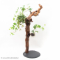 Preview: schmuckaufbewahrung_Schmuckmöbel_jewelryholder_Weinstock_natur12_Schmuckmöbel_jewelryholder_Weinstock_natur11_Schmuckmöbel_jewelryholder_Weinstock_natur9_Schmuckmöbel_jewelryholder_Weinstock Neuburger